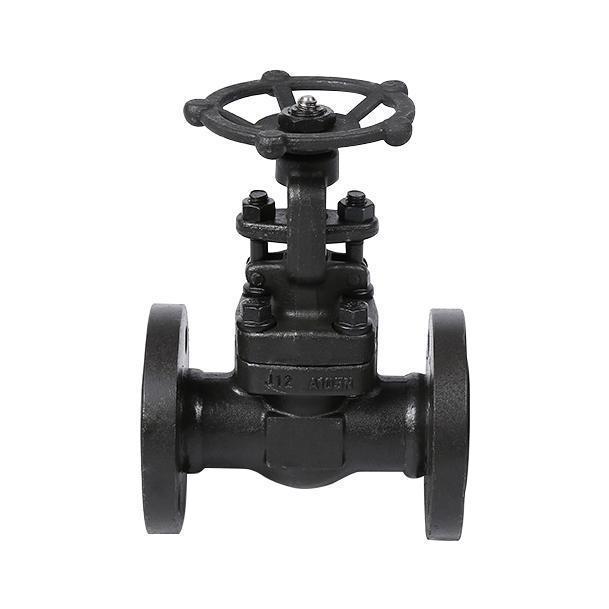 Forged steel gate valve