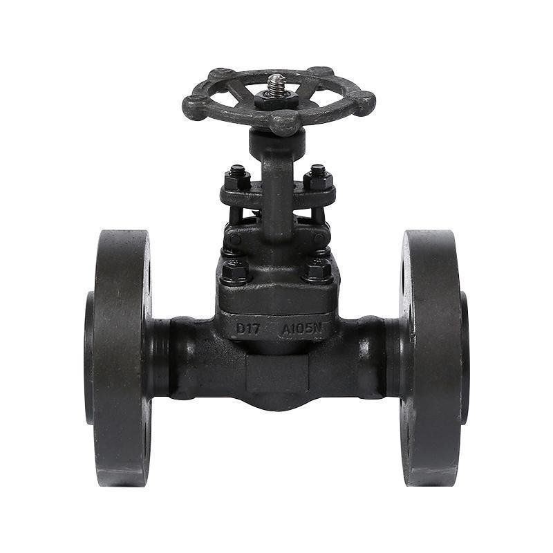 Flange hard seal forged steel gate valve